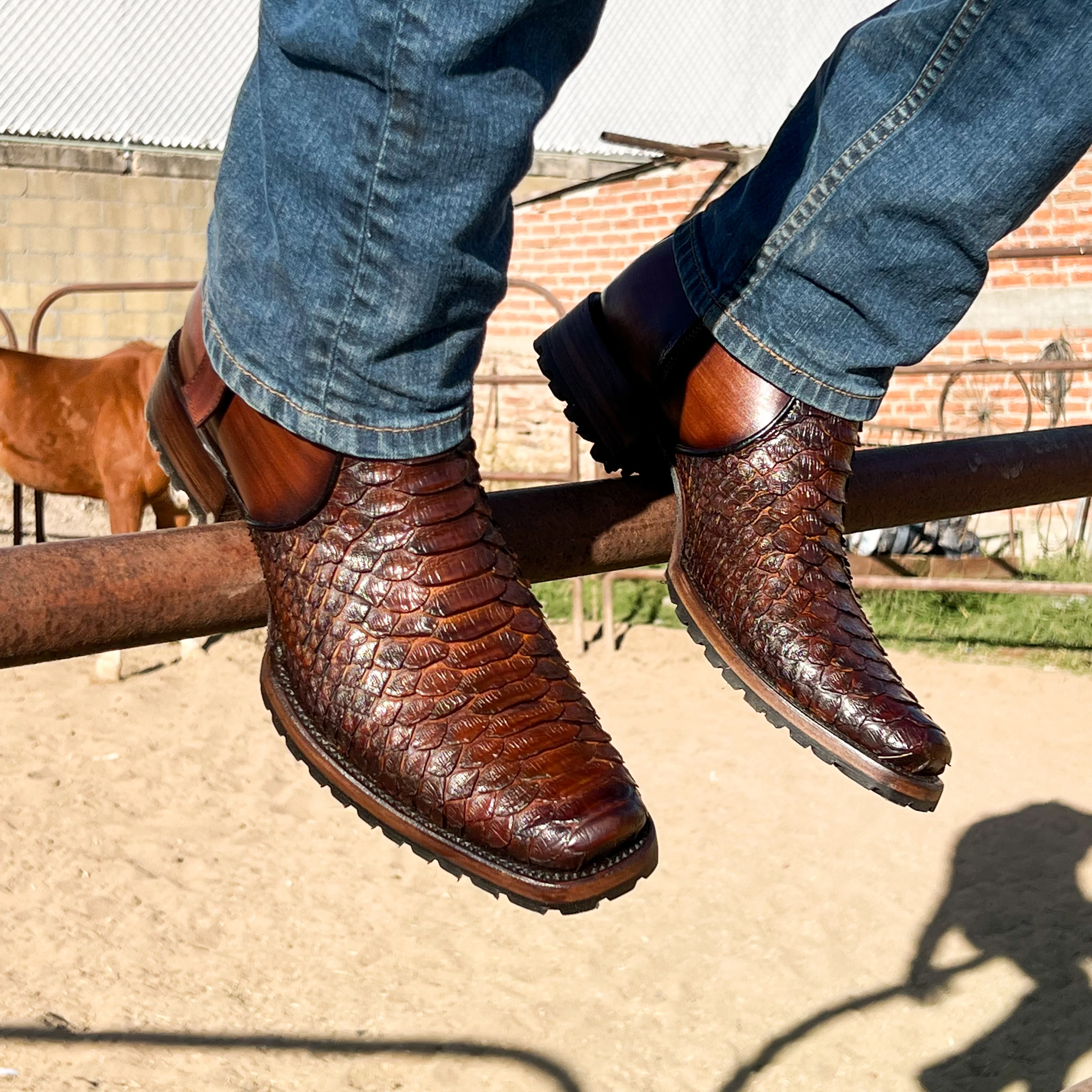 Imagen del producto 5