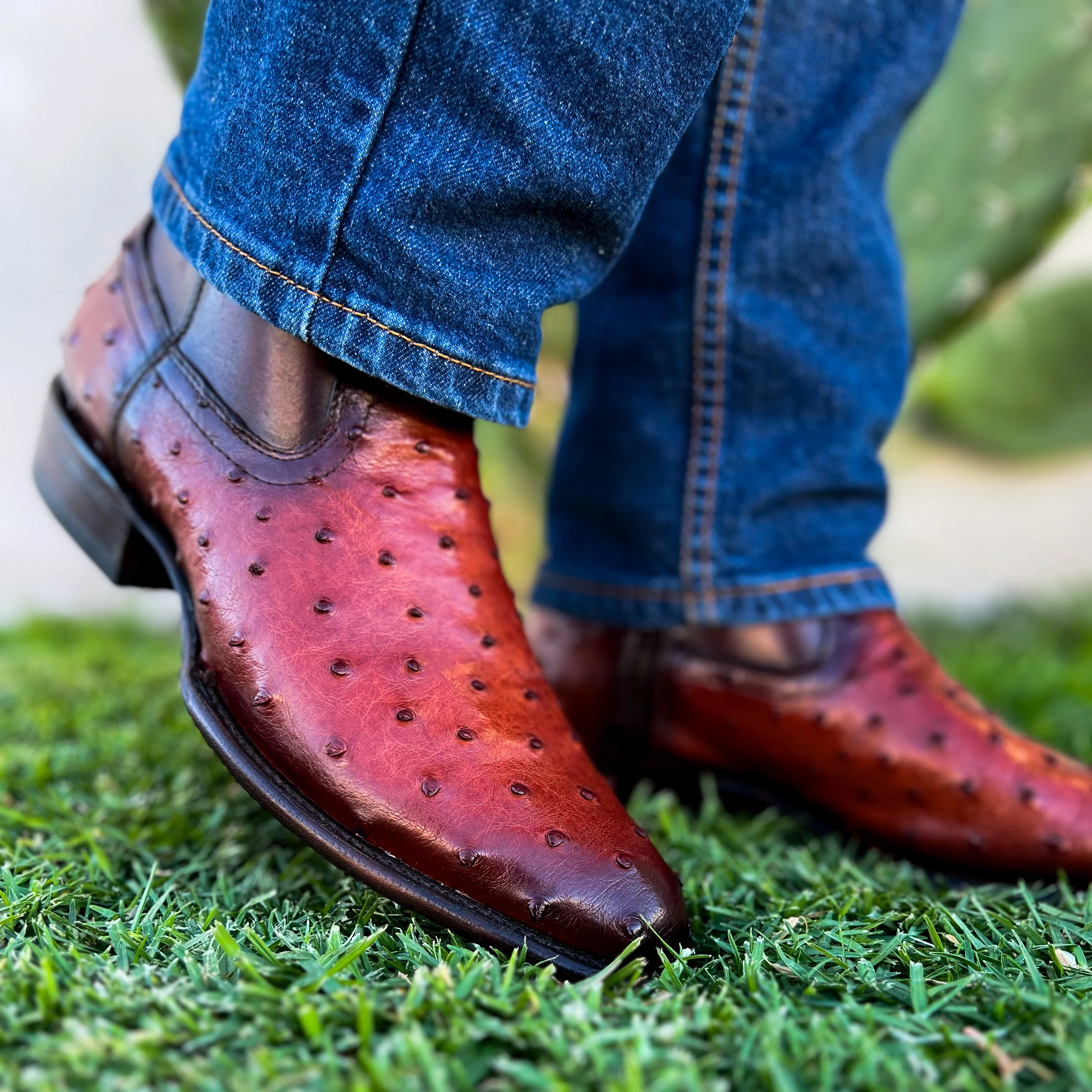 Imagen del producto 6