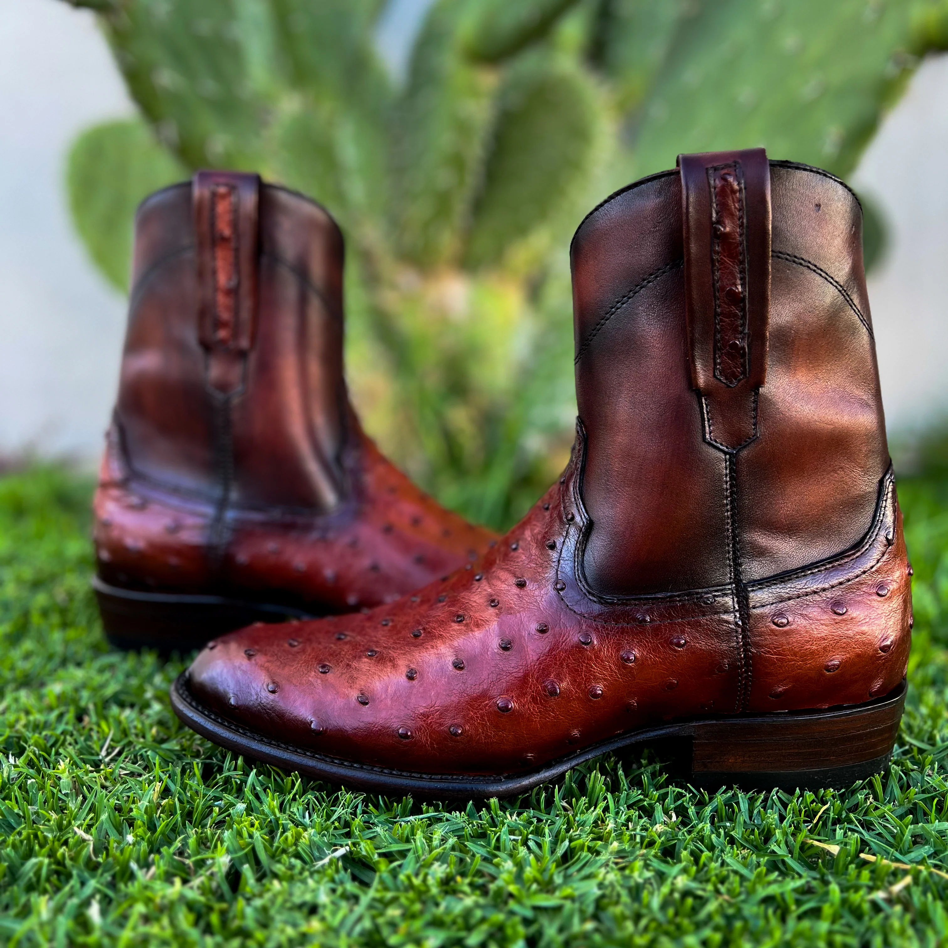 Imagen del producto 7